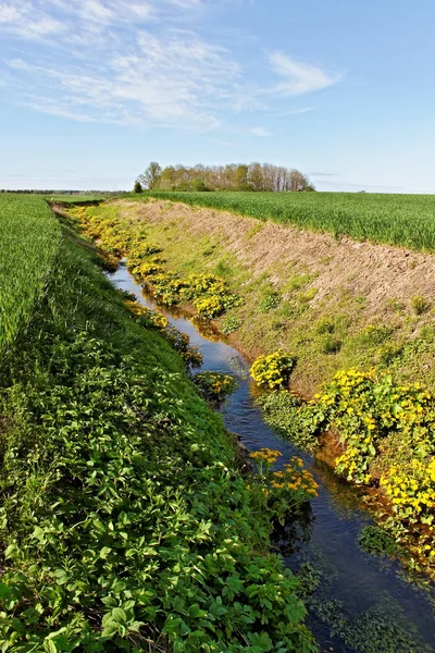 Dike beetwin två fält. — Stockfoto