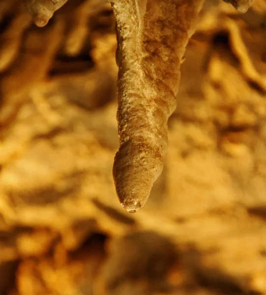 Stalagmiti che si formano . — Foto Stock