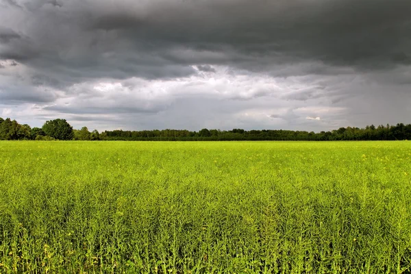 Nuvole sopra il campo . — Foto Stock