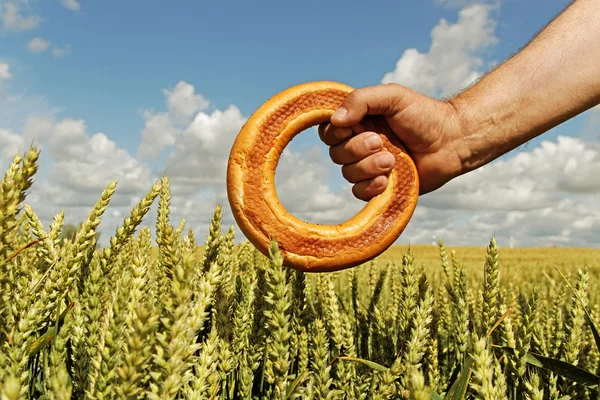 Солодкий хліб і вирощування пшениці . — стокове фото