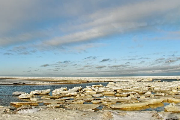 Våren. — Stockfoto