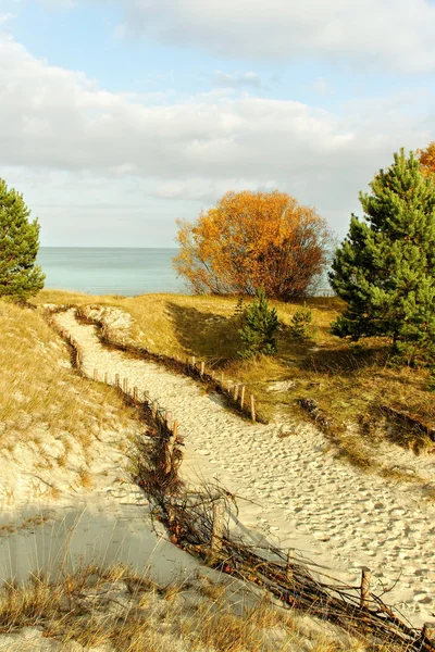 Weg zum Meer. — Stockfoto