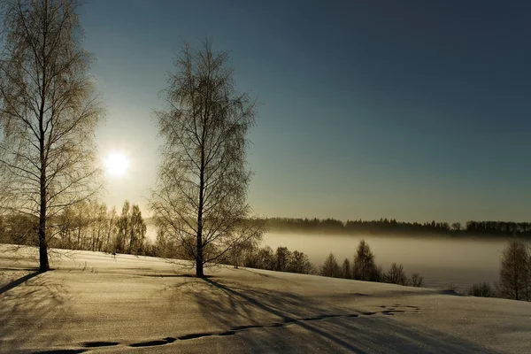 Vintermorgon. — Stockfoto