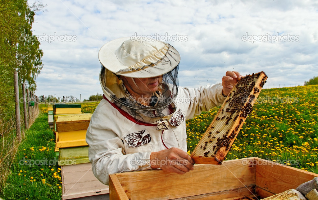 Working apiarist.