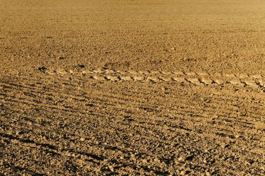 toprak üzerinde izlemek.