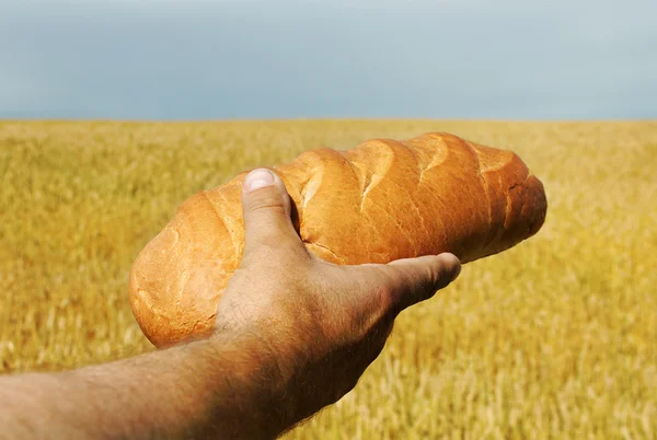 Muž s chlebem. — Stock fotografie