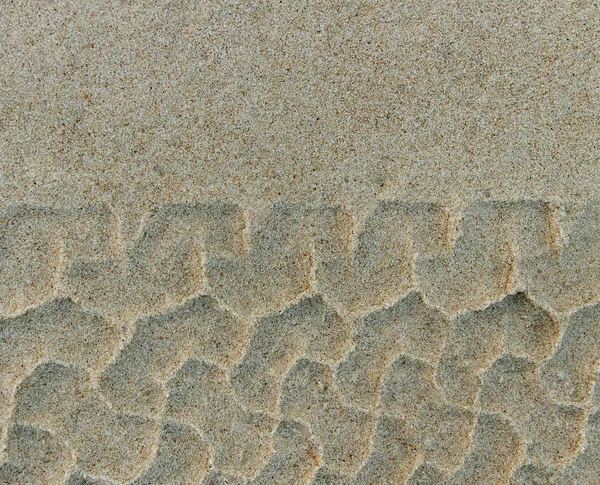 Stempel auf der Sandoberfläche. — Stockfoto