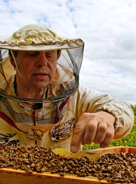 作業の養蜂家. — ストック写真