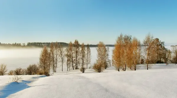 Snöig väg till floden. — Stockfoto