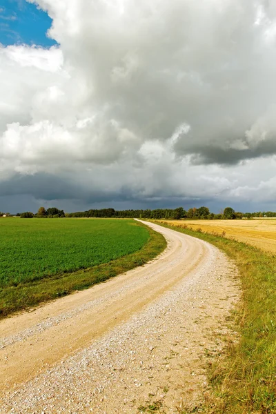 Strada di campagna. — Foto Stock