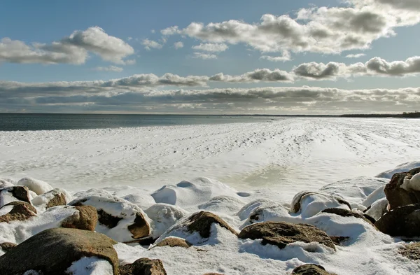 Крот на Балтийском море . — стоковое фото