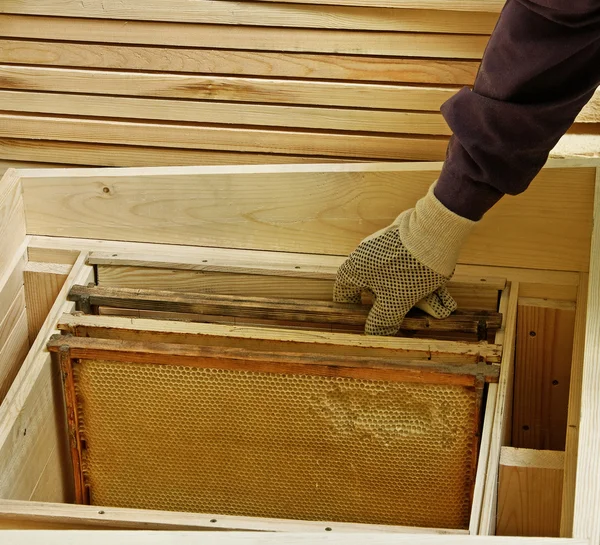 Projekt av trä beehive. — Stockfoto