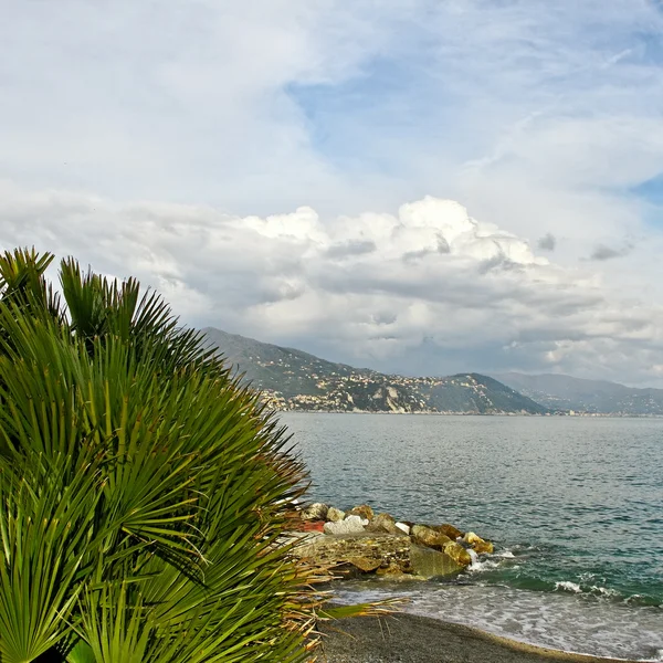 Sul Mar Mediterraneo . — Foto Stock