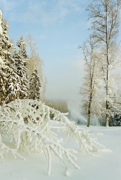 Skischanze. — Stockfoto