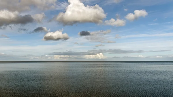 Mulen dag. — Stockfoto