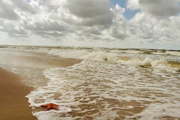 Stormigt hav. — Stockfoto