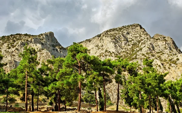 Delphi paisagem . — Fotografia de Stock