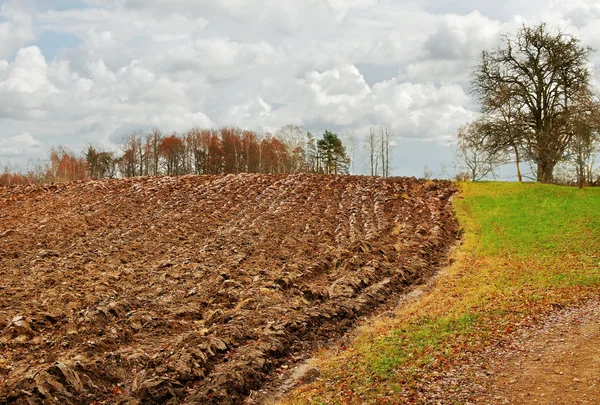 Geploegd veld. — Stockfoto