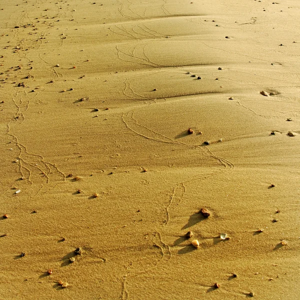 Pískový povrch. — Stock fotografie