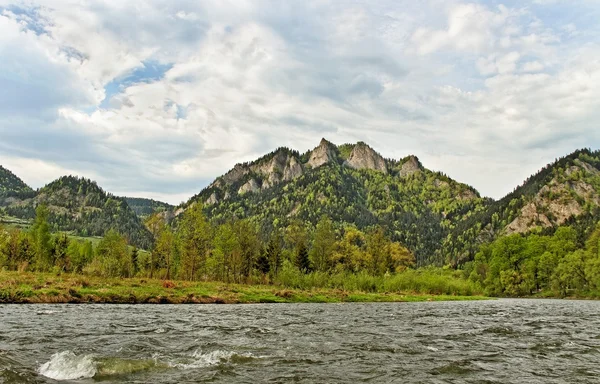 Dunajec rivier. — Stockfoto