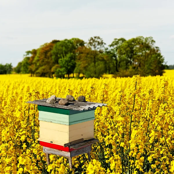 Bijenkorf op het veld. — Stockfoto