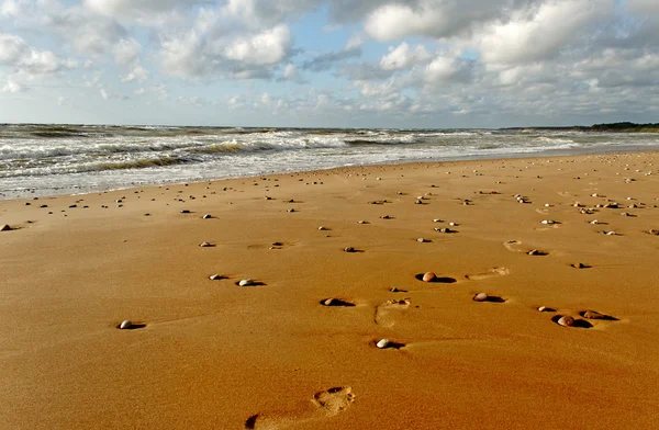 Sledování na písku. — Stock fotografie