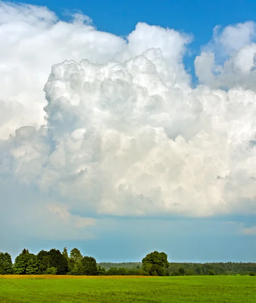 Landschaft. — Stockfoto