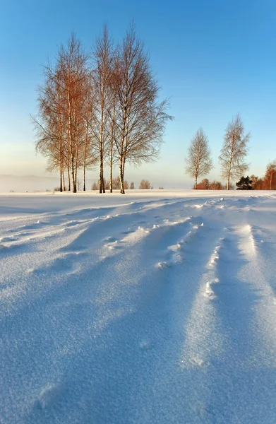 Sonnenaufgang im Winter. — Stockfoto