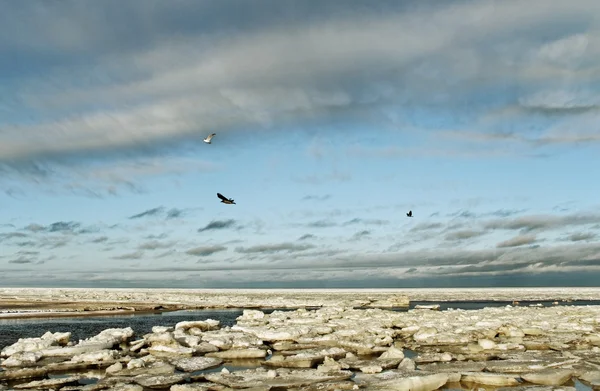 Mar en winte . — Foto de Stock