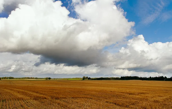 Cultivated land. — Stock Photo, Image