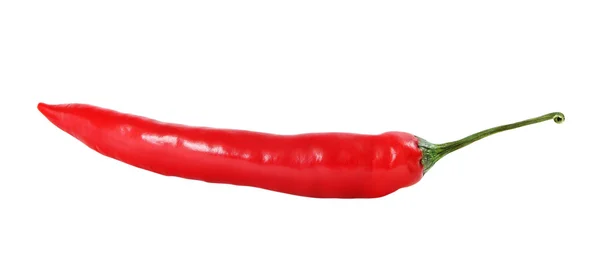 Red pepper. — Stock Photo, Image