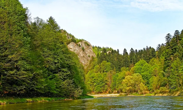 Rzeka dunajec. — Zdjęcie stockowe