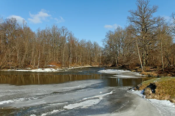 Small river. — Stock Photo, Image