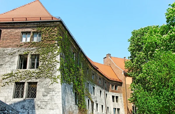 Hrad Wawel. — Stock fotografie