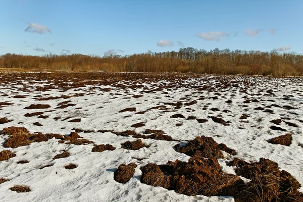 Der erste Schnee auf dem Feld. — Stockfoto