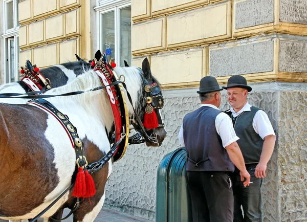 Coachmen in Crakow. — Stock Photo, Image