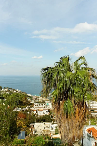 Carpi eiland. — Stockfoto