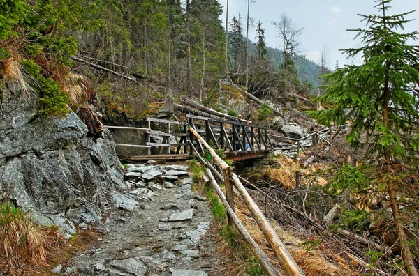 Berglandschap. — Stockfoto