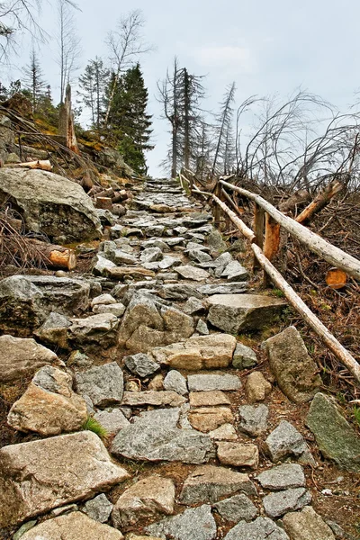 Dağ manzarası. — Stok fotoğraf