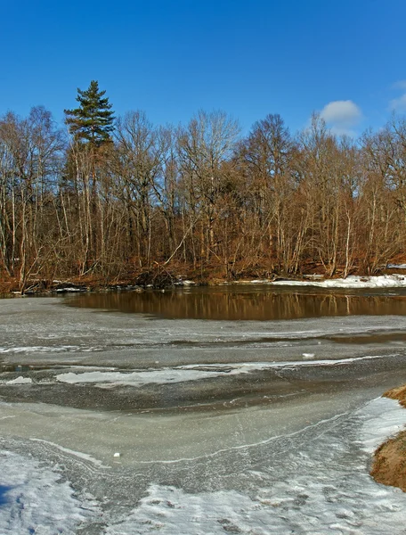 Kleiner Fluss in einer Frühjahrssaison. — Stockfoto