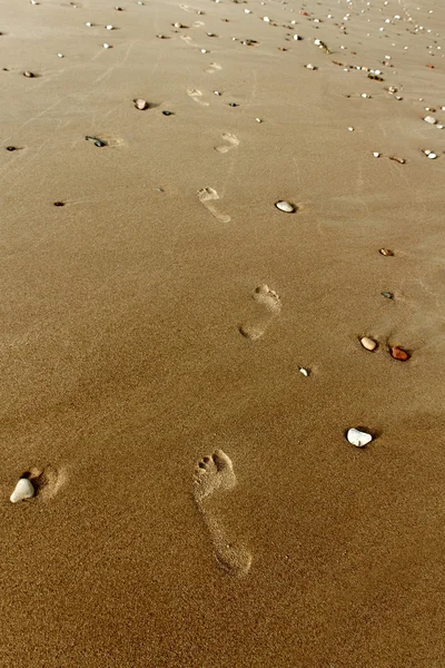 Traccia sulla sabbia . — Foto Stock