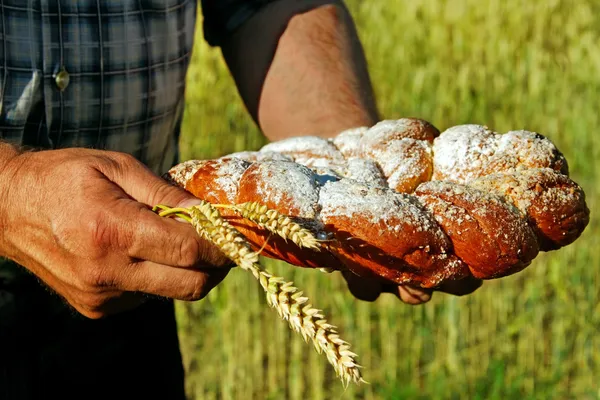 Bonde på fältet. — Stockfoto