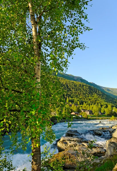 Hızlı Nehri. — Stok fotoğraf