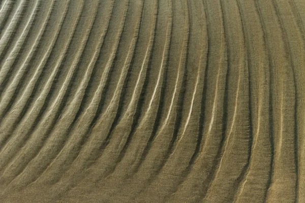 Areia molhada. — Fotografia de Stock