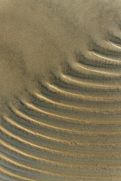 Areia molhada. — Fotografia de Stock