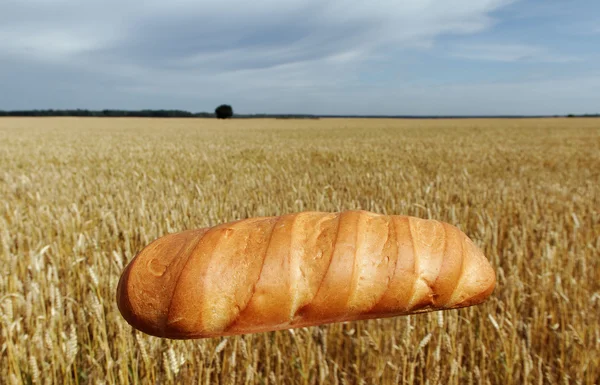 Bread and field. — Stock Photo, Image