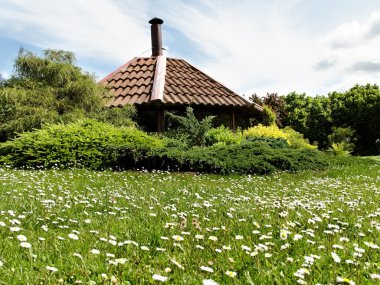 Arbor kamp ateşi ile.