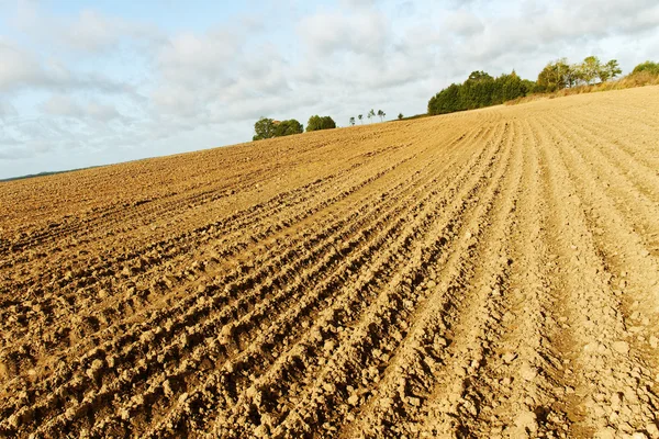 Land landskap. — Stockfoto