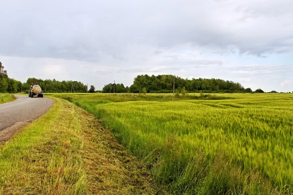 Strada di campagna. — Foto Stock