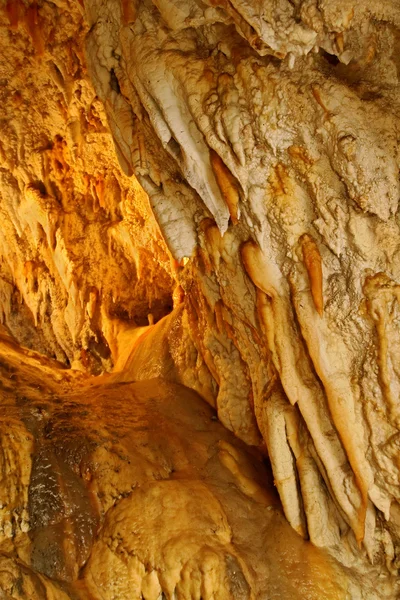 Formation de stalactites . — Photo